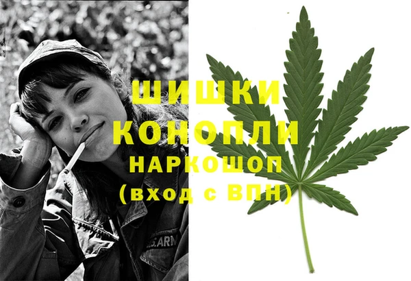 крисы Арсеньев