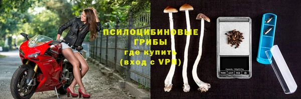 крисы Арсеньев