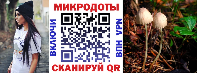 ссылка на мегу как зайти  Суджа  дарк нет наркотические препараты  Галлюциногенные грибы мицелий 
